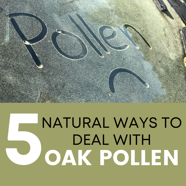 Five Natural Ways to Deal with Oak Allergies