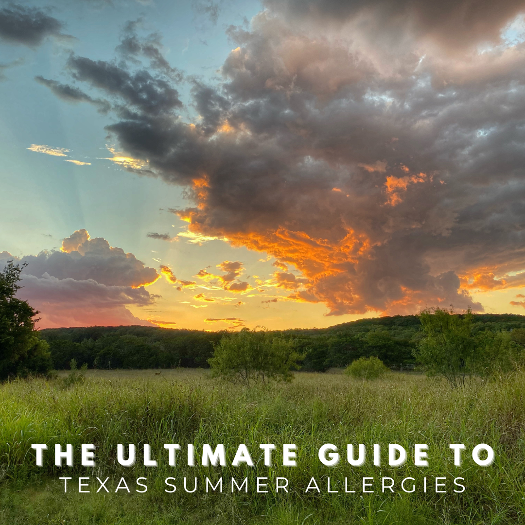 Texas summer sunset - The Ultimate Guide to Texas Summer Allergies