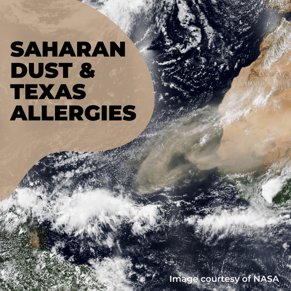 Saharan Dust and Texas Allergies