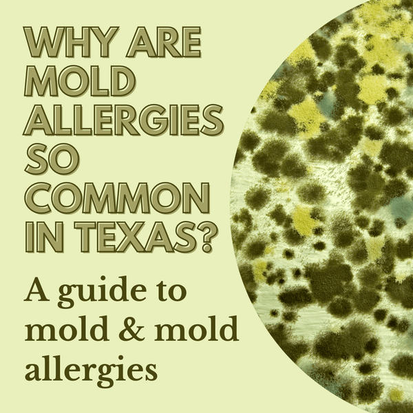Why are mold allergies so common in Texas?